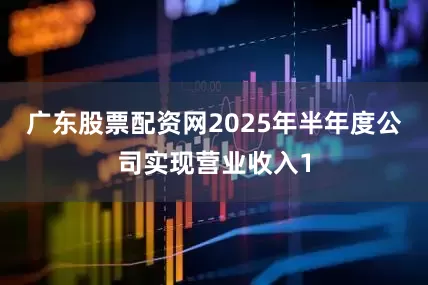 广东股票配资网2025年半年度公司实现营业收入1