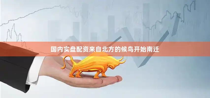 国内实盘配资来自北方的候鸟开始南迁