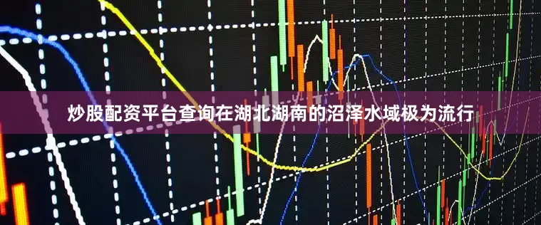 炒股配资平台查询在湖北湖南的沼泽水域极为流行