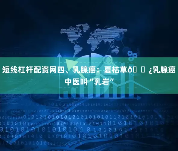 短线杠杆配资网四、乳腺癌：夏枯草🌿乳腺癌中医叫“乳岩”
