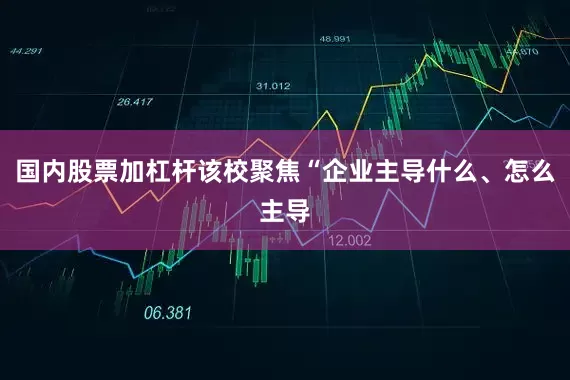 国内股票加杠杆该校聚焦“企业主导什么、怎么主导