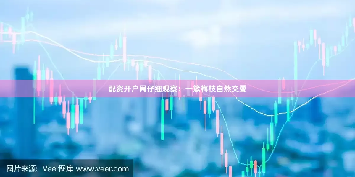 配资开户网仔细观察:一簇梅枝自然交叠